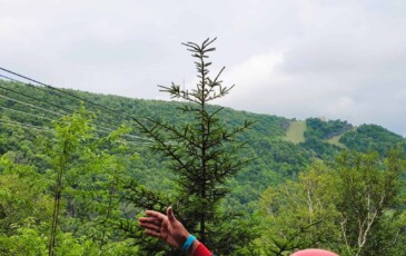 3,200 feet long & 600’ above the valley